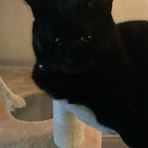 Meet your Posher, Kelly jo